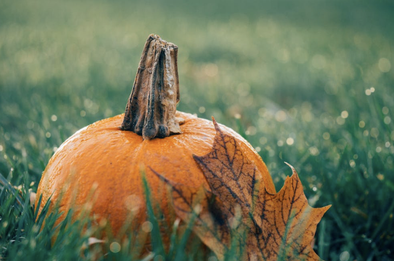 Spooky sustainability: Making Halloween celebrations more eco-friendly